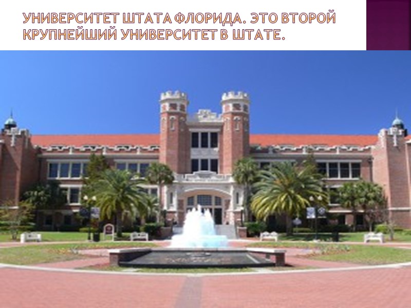 Университет штата Флорида. Это второй крупнейший университет в штате.